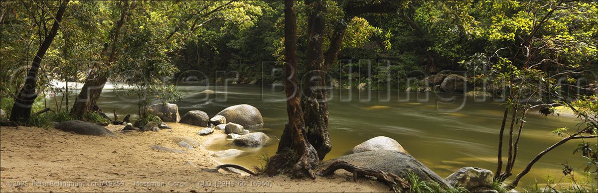 Peter Bellingham Photography Mossman Gorge - QLD (PBH4 00 16960)